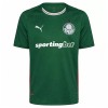 Jalkapallo Pelipaidat/Peliasut Palmeiras Kotipelipaita 2026-27
