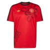 Jalkapallo Pelipaidat/Peliasut Manchester United Cultural Story 2025-26