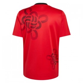 Jalkapallo Pelipaidat/Peliasut Manchester United Cultural Story 2025-26
