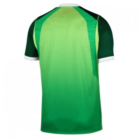 Jalkapallo Pelipaidat/Peliasut Nigeria Kotipelipaita 2026-27