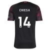 Jalkapallo Pelipaidat/Peliasut Liverpool Chiesa 14 Kolmaspelipaita 2026-27
